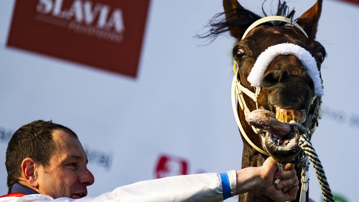 Šampion, skokan a nervák, co bude Velké pardubické zase chybět. Kopnul se